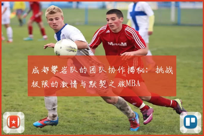 成都攀岩队的团队协作揭秘：挑战极限的激情与默契之旅MBA