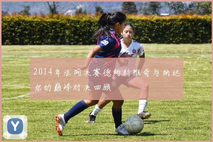 2014年法网决赛德约科维奇与纳达尔的巅峰对决回顾