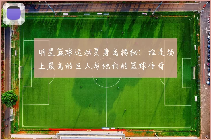 明星篮球运动员身高揭秘：谁是场上最高的巨人与他们的篮球传奇